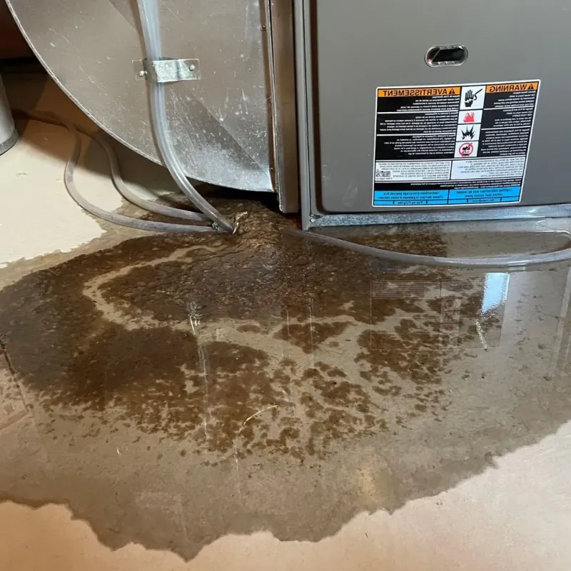 Pipe Burst and Leak Restoration in Somerset, MA