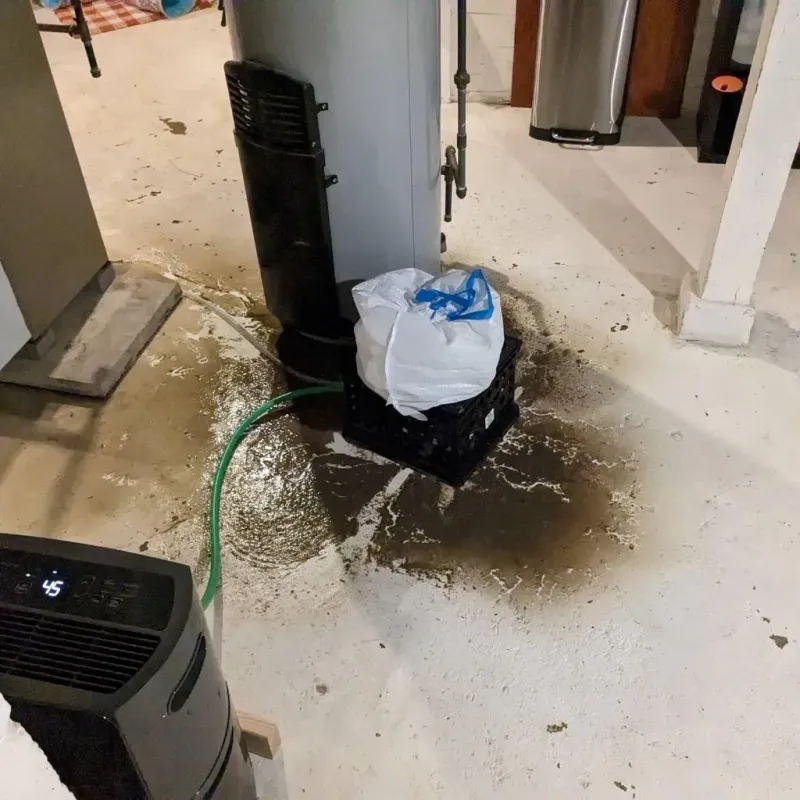 Sewage Backup Cleanup Service in Somerset, MA